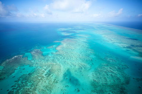 Coral Tree Inn - Accommodation Melbourne 37