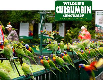 Private Guest Suite High On Currumbin Hill - Accommodation Melbourne 19