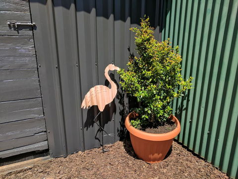 Lilly Pilly House - Accommodation Melbourne 10