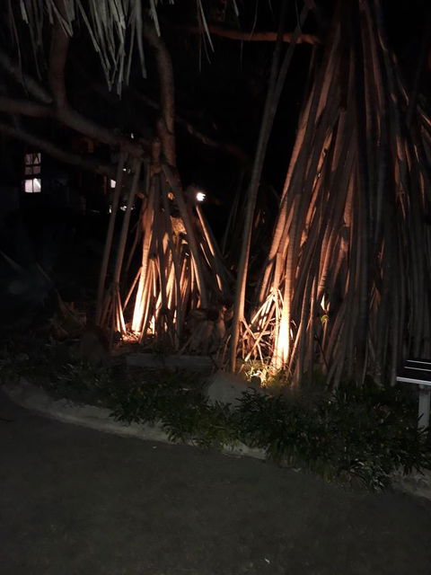 Pandanus Coolum Beach - Accommodation Melbourne 10
