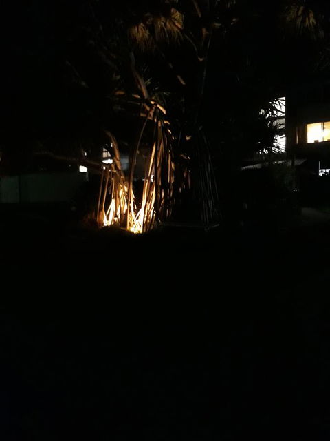 Pandanus Coolum Beach - Accommodation Melbourne 8
