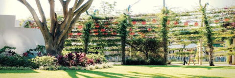 Vine Apartments South Brisbane - Accommodation Melbourne 19