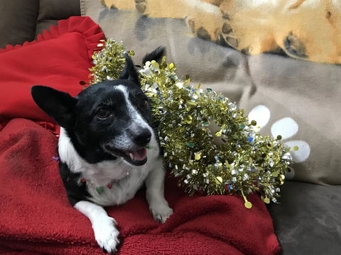 Nanango Star Motel - Accommodation Melbourne 14