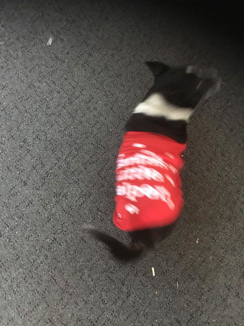 Nanango Star Motel - Accommodation Melbourne 1