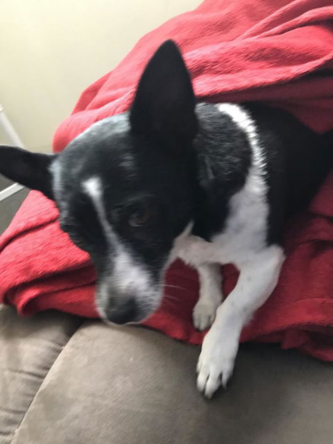 Nanango Star Motel - Accommodation Melbourne 15