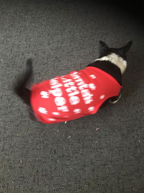 Nanango Star Motel - Accommodation Melbourne 2