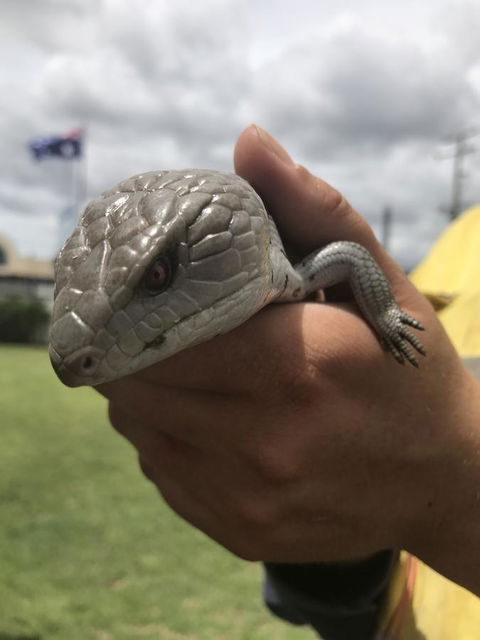 Nanango Star Motel - Accommodation Melbourne 16