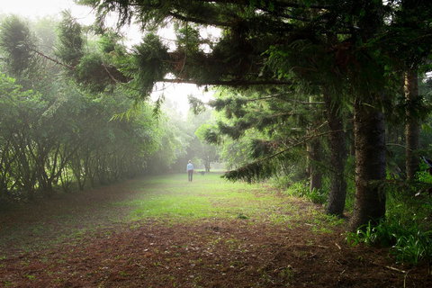 Sharlynn By The River - Accommodation Melbourne 2