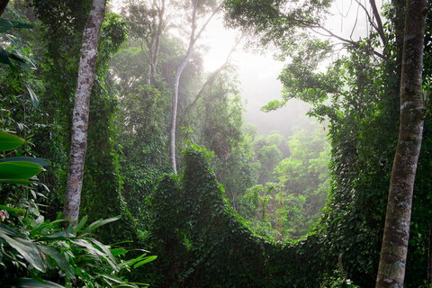 Sharlynn By The River - Accommodation Melbourne 29