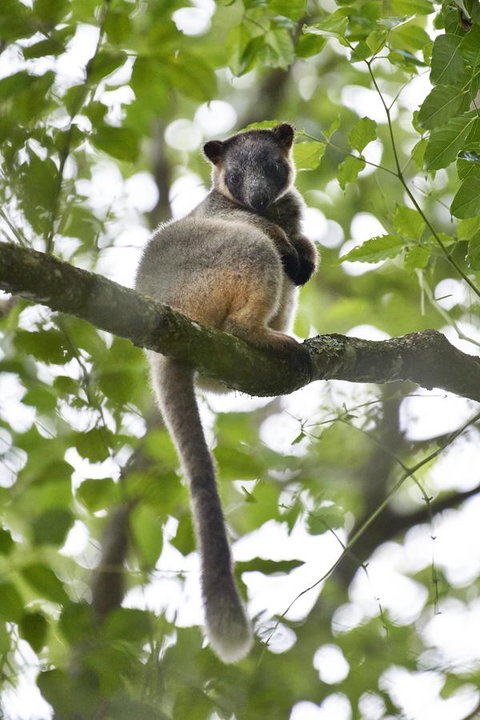 Sharlynn By The River - Accommodation Melbourne 28