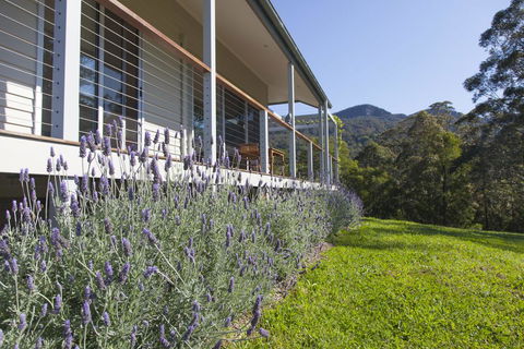 Wilderberry Cottage - Accommodation Melbourne 3