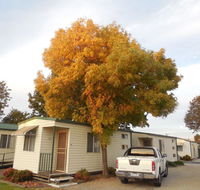 Wodonga Caravan  Cabin Park - Accommodation Melbourne