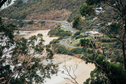 WYE UP - Through The Treetops. Out To The Sea. - Accommodation Melbourne 2