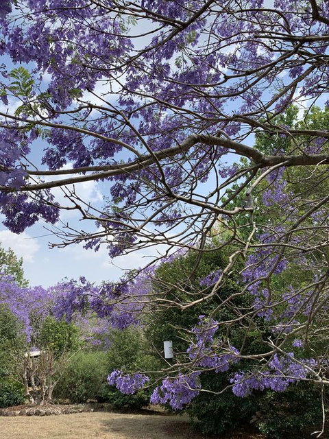 Wyndover Mountain Retreat - Accommodation Melbourne 1