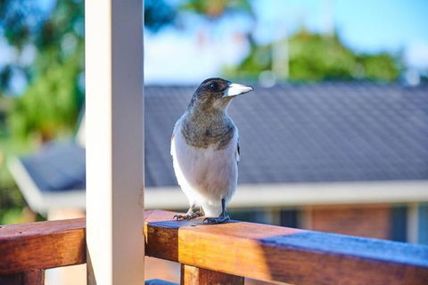 A Kids Dream & Paradise For Parents - Accommodation Melbourne 2