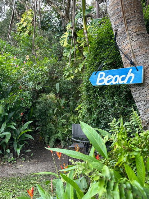Absolute Beach Front Home -Dogs, Surf, Relax, Bush - Accommodation Melbourne 2