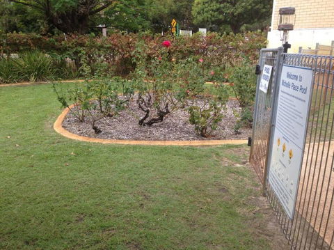 Affordable Inglewood Apartment+Pool - Accommodation Melbourne 4