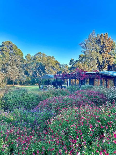 Alluca Villa McLaren Vale Vineyard Escape - Accommodation Melbourne 4