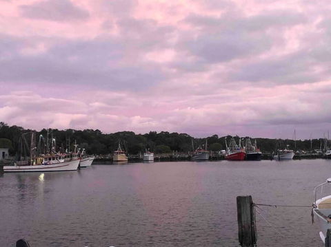 Aloha Iluka! - Accommodation Melbourne 1