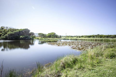 Apollo Bay Cottages- Sabine - Accommodation Melbourne 3