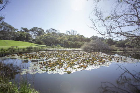 Apollo Bay Cottages- Sabine - Accommodation Melbourne 4