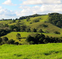 Maleny Springs Farm - Accommodation Melbourne