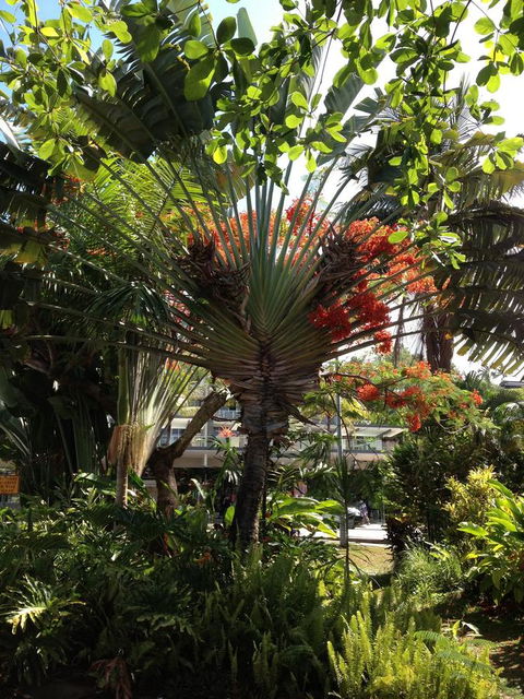 Port Douglas Apartments - Adults Only Oasis - Accommodation Melbourne 39