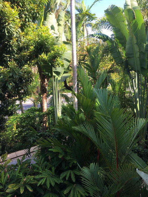 Port Douglas Apartments - Adults Only Oasis - Accommodation Melbourne 1