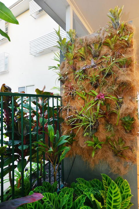 Port Douglas Apartments - Adults Only Oasis - Accommodation Melbourne 27