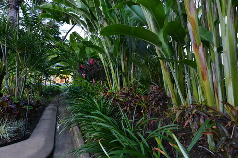 Port Douglas Apartments - Adults Only Oasis - Accommodation Melbourne 9