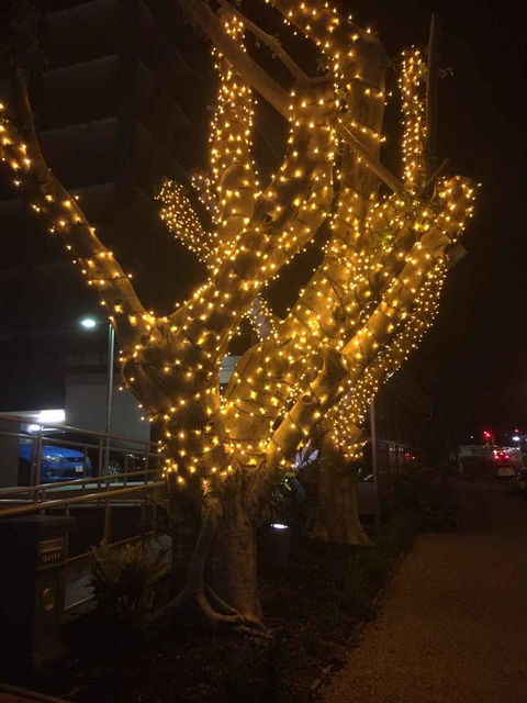 Quest Breakfast Creek - Accommodation Melbourne 16