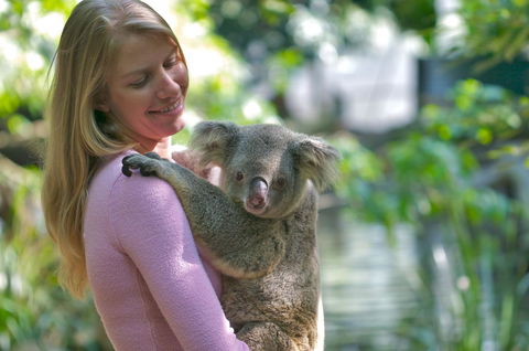 Martinique On Macrossan - Accommodation Melbourne 30