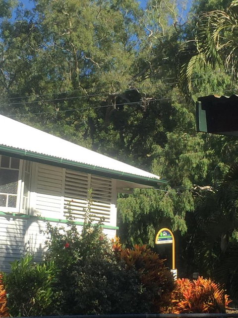 Daggoombah Holiday Home Magnetic Island - Accommodation Melbourne 15