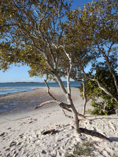 Modern Beach Villa - Accommodation Melbourne 15