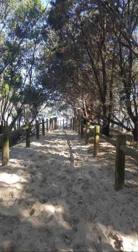 Modern Beach Villa - Accommodation Melbourne 16