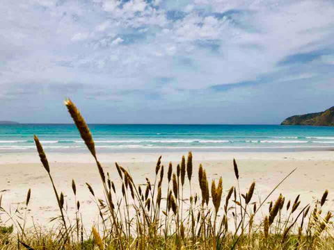 Modern Beach Villa - Accommodation Melbourne 14