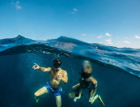 Manta Lodge YHA & Scuba Centre - Accommodation Melbourne 12