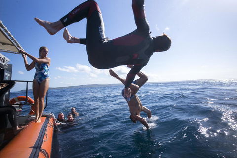 Manta Lodge YHA & Scuba Centre - Accommodation Melbourne 11