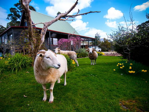 Parnella Adventure Bay, Bruny Island - Accommodation Melbourne 19