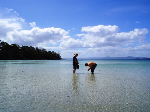 Bruny Island Escapes And Hotel Bruny - Accommodation Melbourne 36