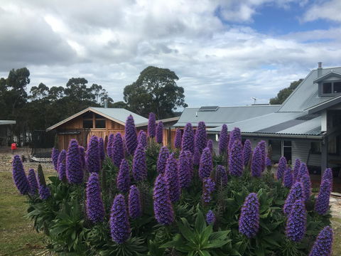 Bruny Island Lodge - Accommodation Melbourne 5