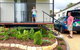 Crows Nest Tourist Park - thumb 0