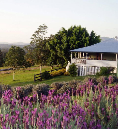 Dayboro - Blue Ridge Lavender Cottage - Accommodation Melbourne 4