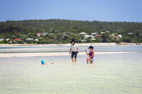 9 Marshall Street - Large Family Holiday Home Just Metres To The Beach - Accommodation Melbourne 0