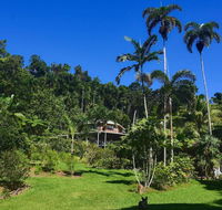 A Daintree Garden - Accommodation Melbourne