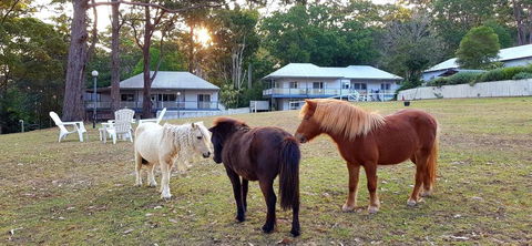 Aaronlee Retreat - Accommodation Melbourne 2