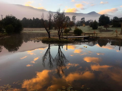 Acheron Acres Riverside - Accommodation Melbourne 2