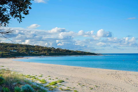 Eagle Bay Summerhaus - Accommodation Melbourne 1