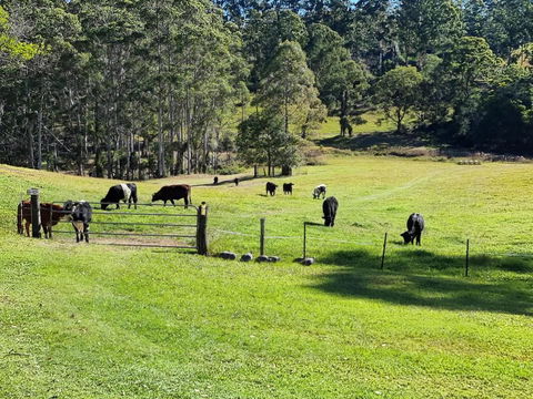 Fiery, Cozy Starry Nights - Farm Stay! - Accommodation Melbourne 2