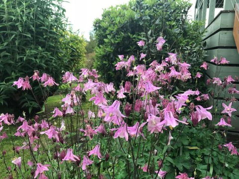 Forrest River Valley - Accommodation Melbourne 2